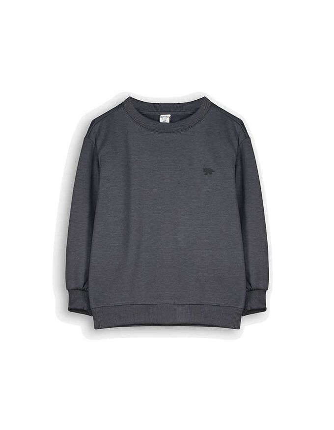 Sweatshirt - Print