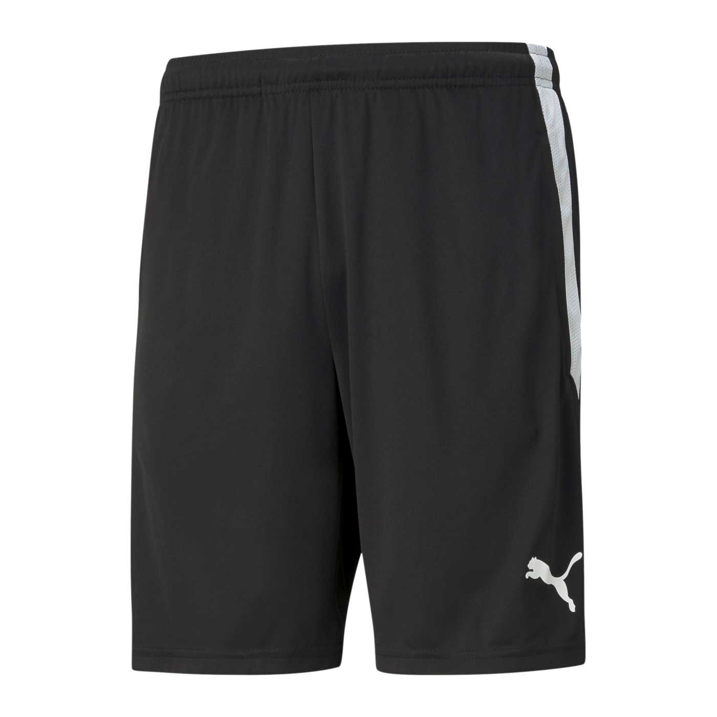 PUMA teamLIGA Training Short Schwarz F03