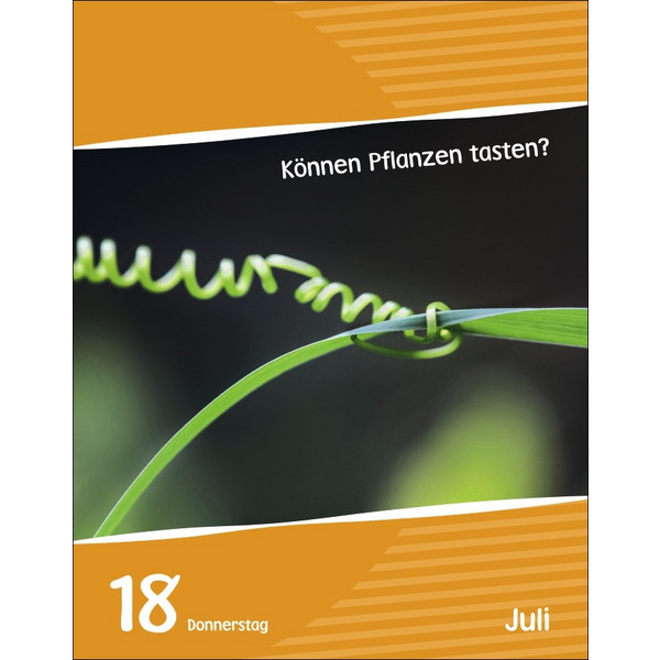 WISSEN FÜR KIDS TAGESABREIßKALENDER 2024 - Kalender