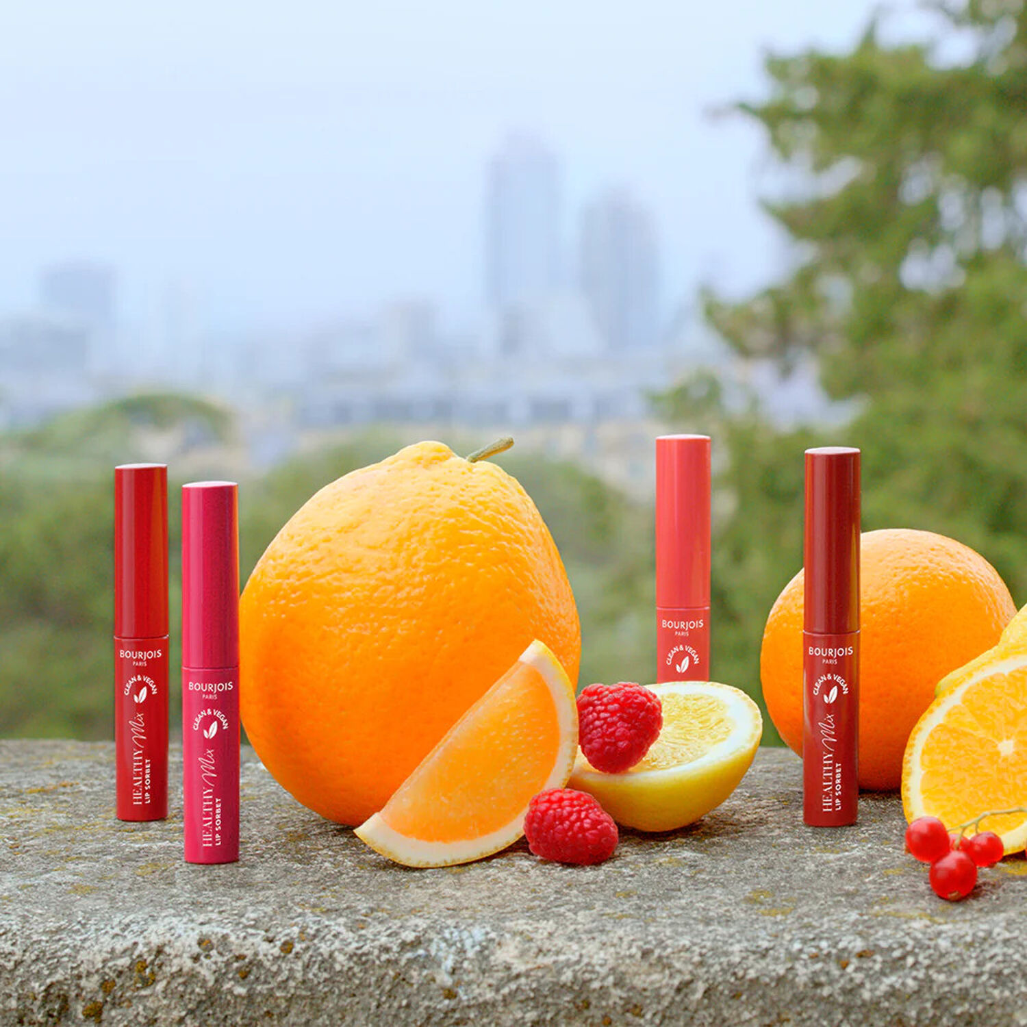 Bourjois Healthy Mix Clean Lip Sorbet Baume à Lèvres Teinté