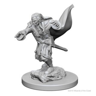 Vampires: D&D Nolzurs Marvelous Unpainted Minis