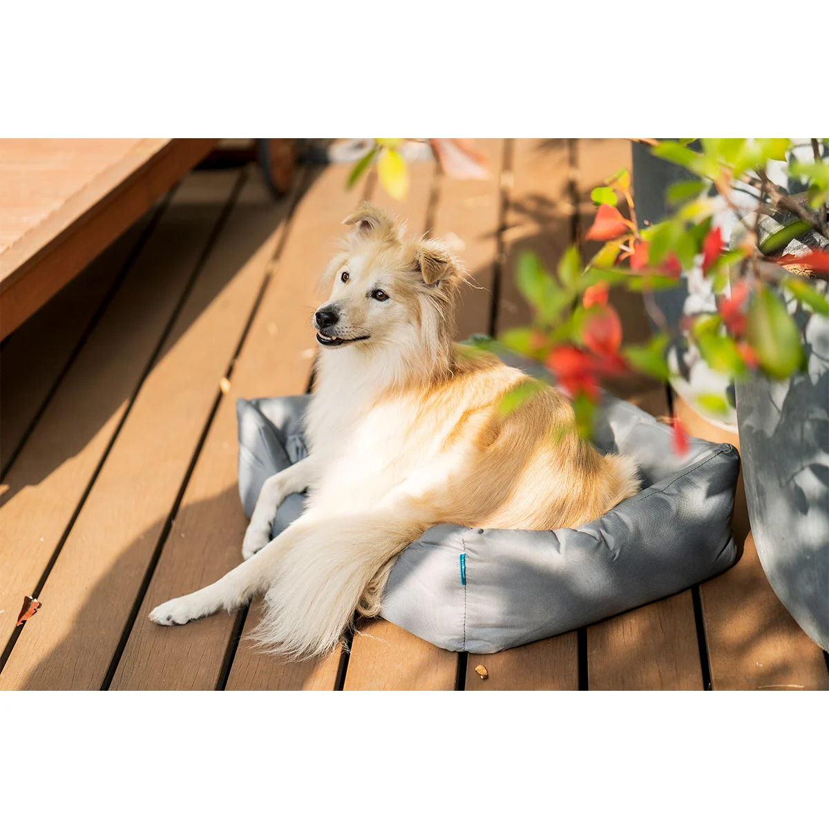 ZooRoyal Outdoorbett Noah günstig kaufen