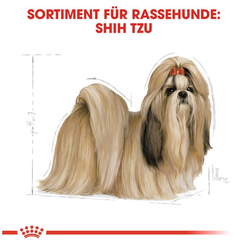 Royal Canin Shih Tzu Adult zu TOP-Preisen