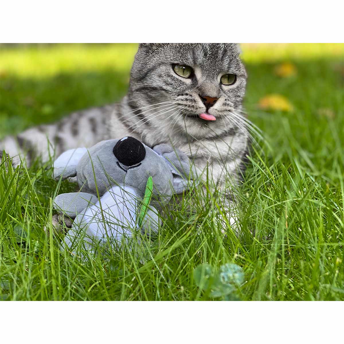 Aumüller Katzenspielzeug Koalabär Jack kaufen