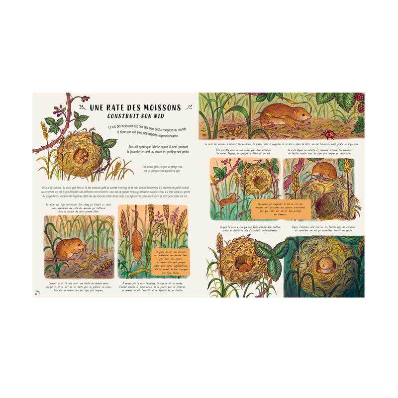 Livre Les secrets de la nature... tout près de toi - Larousse Jeunesse