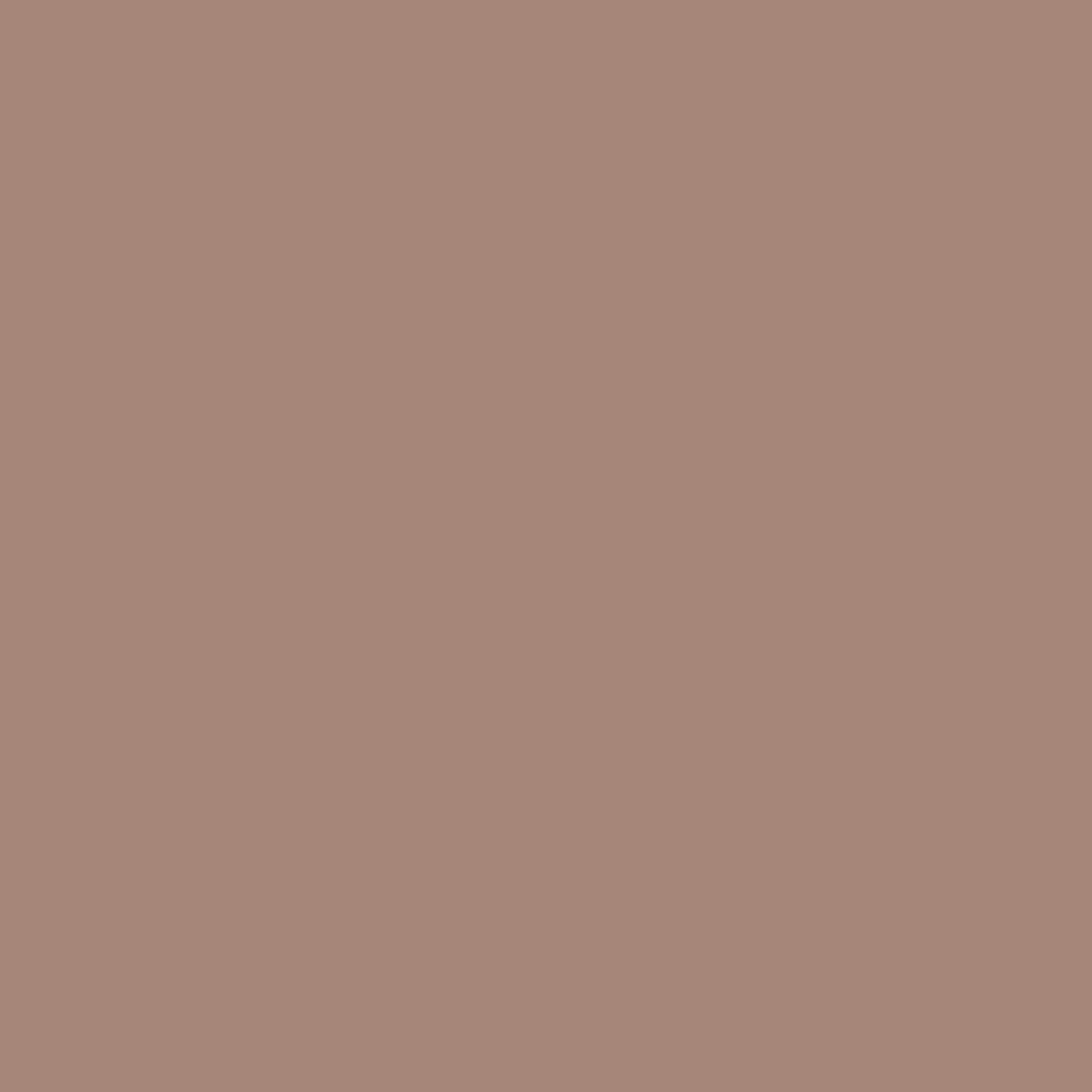 AKI, BROLIU! Tonuotas antakių gelis - antakių gelis ir tušas