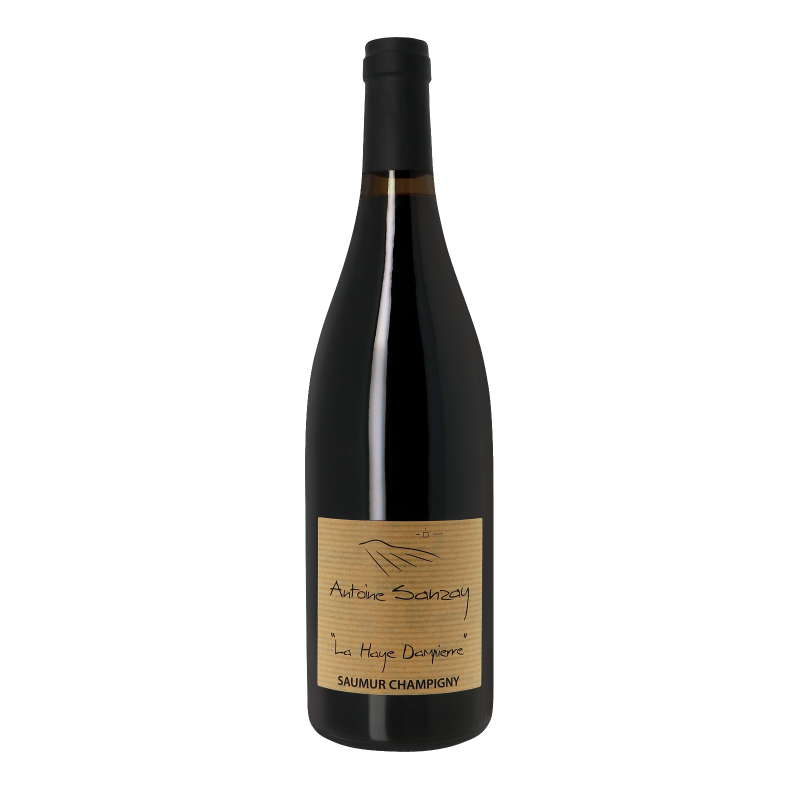 Saumur Champigny La Haye Dampierre 2019 - Saumur Champigny - Loire - Domaine Antoine Sanzay (75CL.)