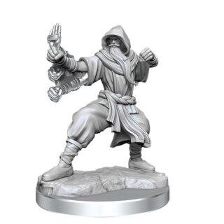 D&D Frameworks: Human Monk Male