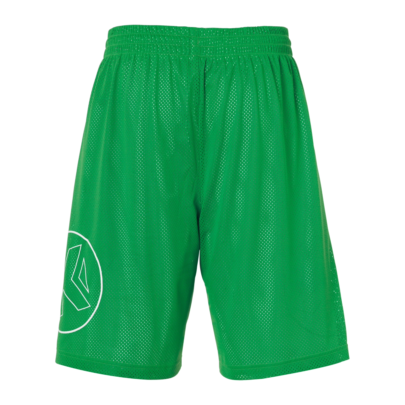 Kempa Reversible Shorts Grün Weiss F07