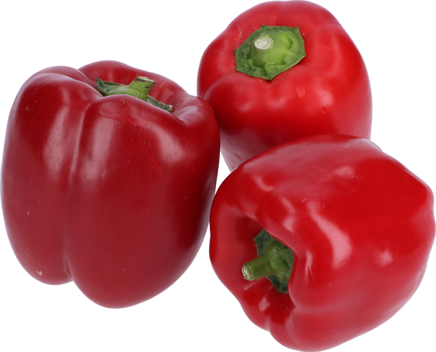 Paprika rot