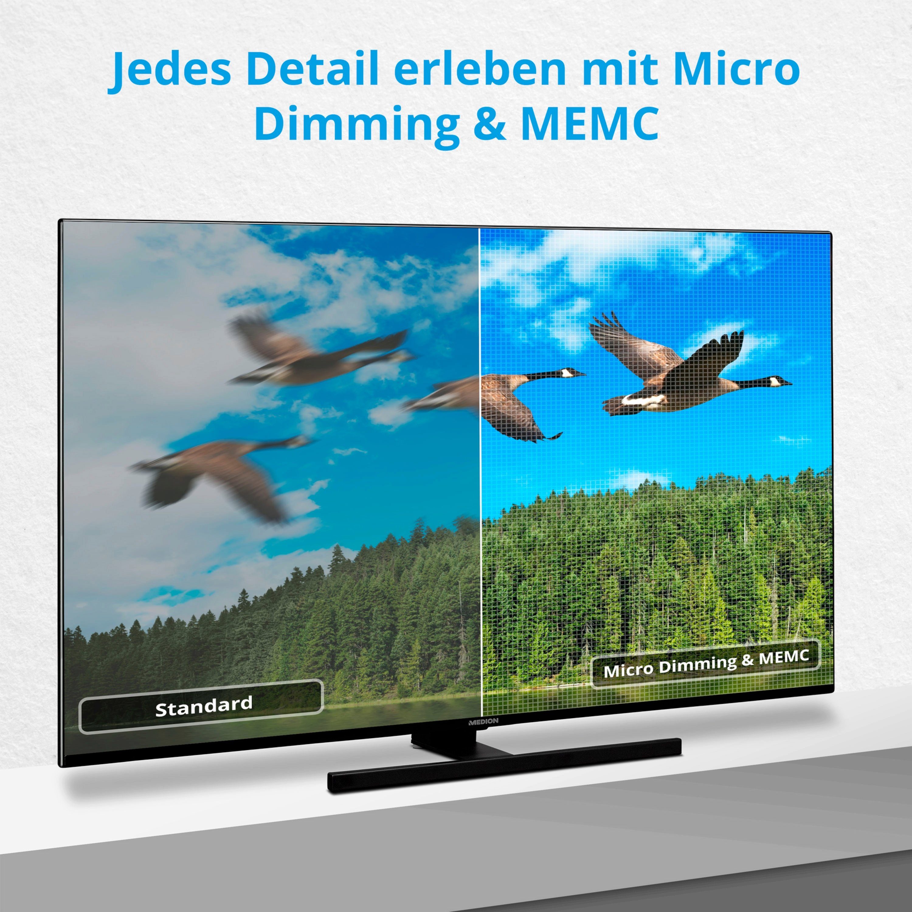 Medion® MD30606 LCD-LED Fernseher (125.7 cm/49.5 Zoll, 4K Ultra HD, Smart-TV, 60Hz, MD30606)