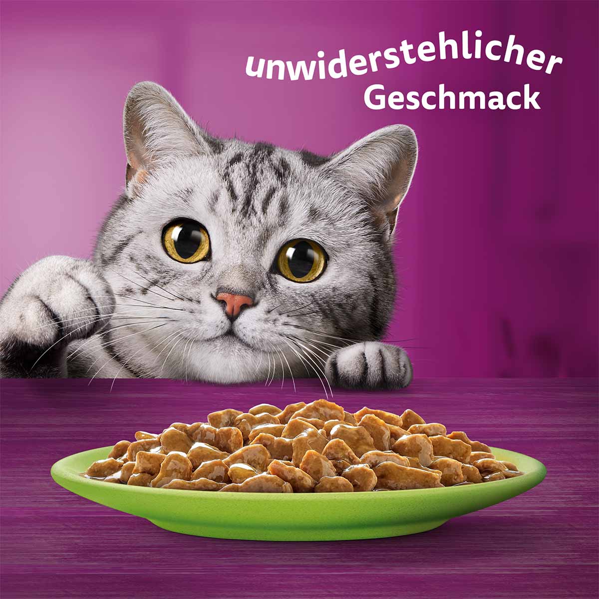 Whiskas Multipack 7+ Gemischte Auswahl in Sauce 12x85g