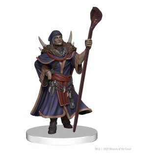 Dungeon & Dragons Icons of the Realms Set 20 The Wild Beyond the Witchlight Starter Set 2