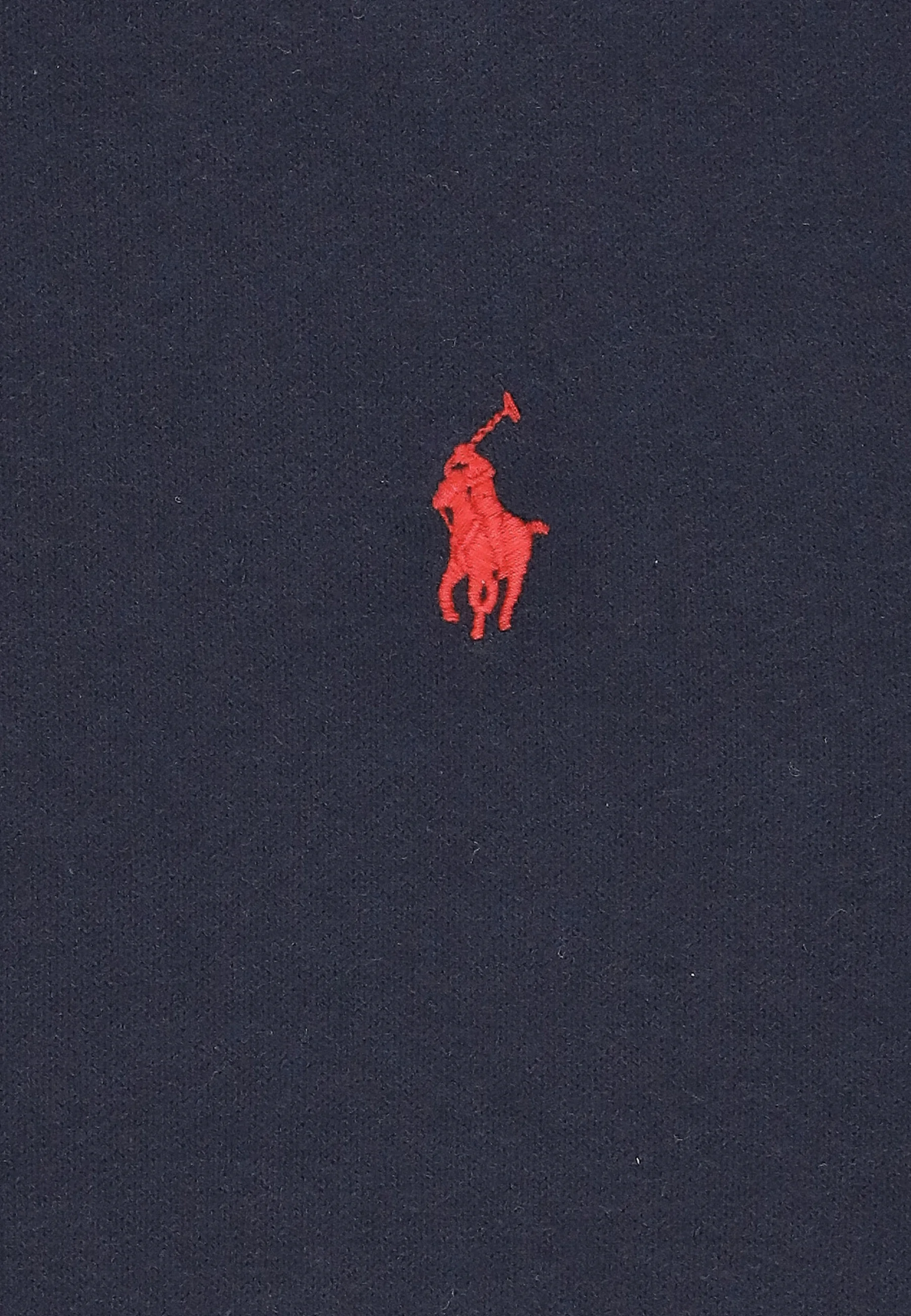 Polo Ralph Lauren CON LOGO DE PONY - Suéter