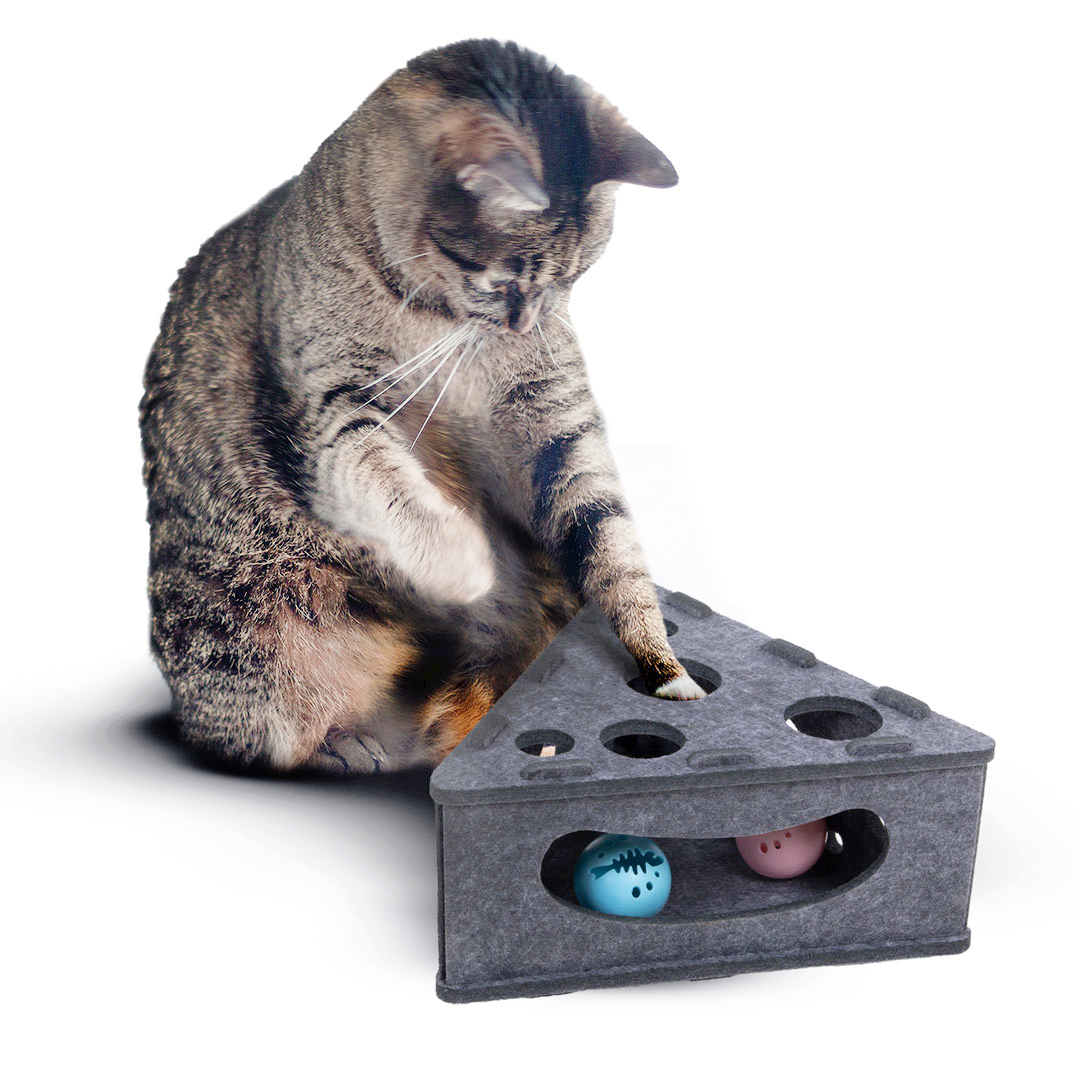 Canadian Cat Company Intelligenzspielzeug Canadian Cat Company Intelligenzspielzeug Käsekästchen