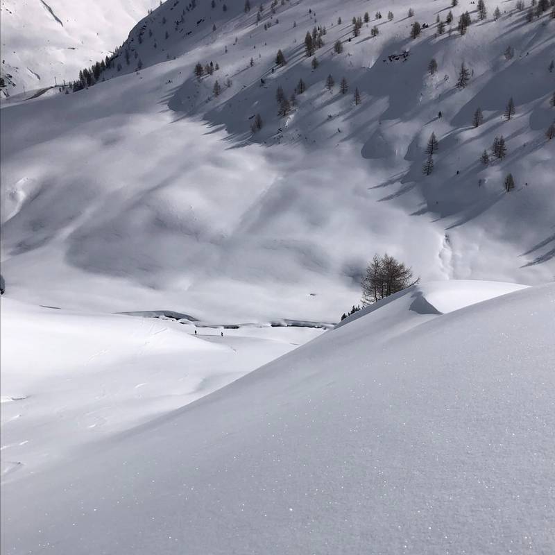 Erlebnis Freeride mit Guide Tour