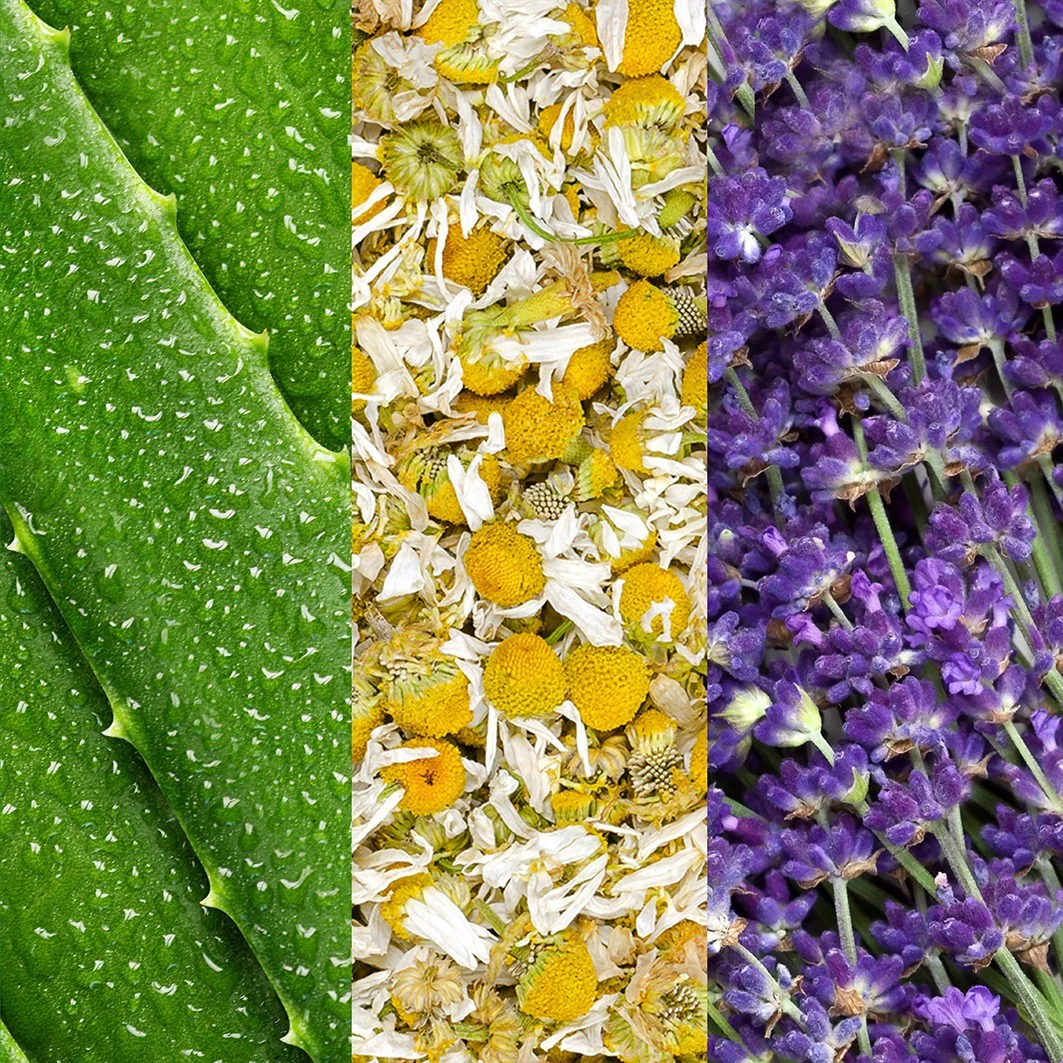 Mario Badescu Spray de față cu Aloe Vera, Mușețel și Lavandă