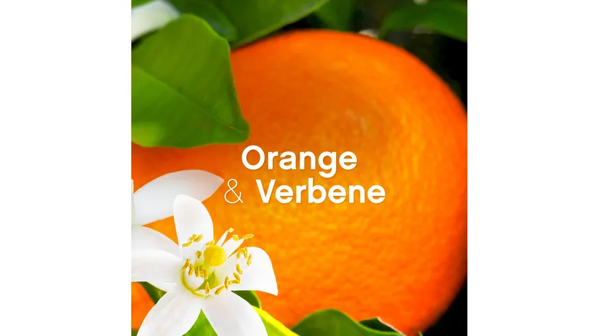 Lenor Weichspüler Orange & Verbene 800 ml