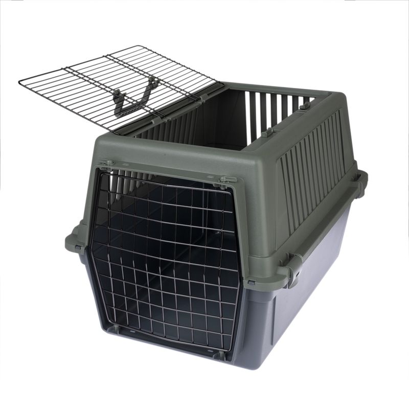 TIAKI Transportbox Verde zu TOP-Preisen