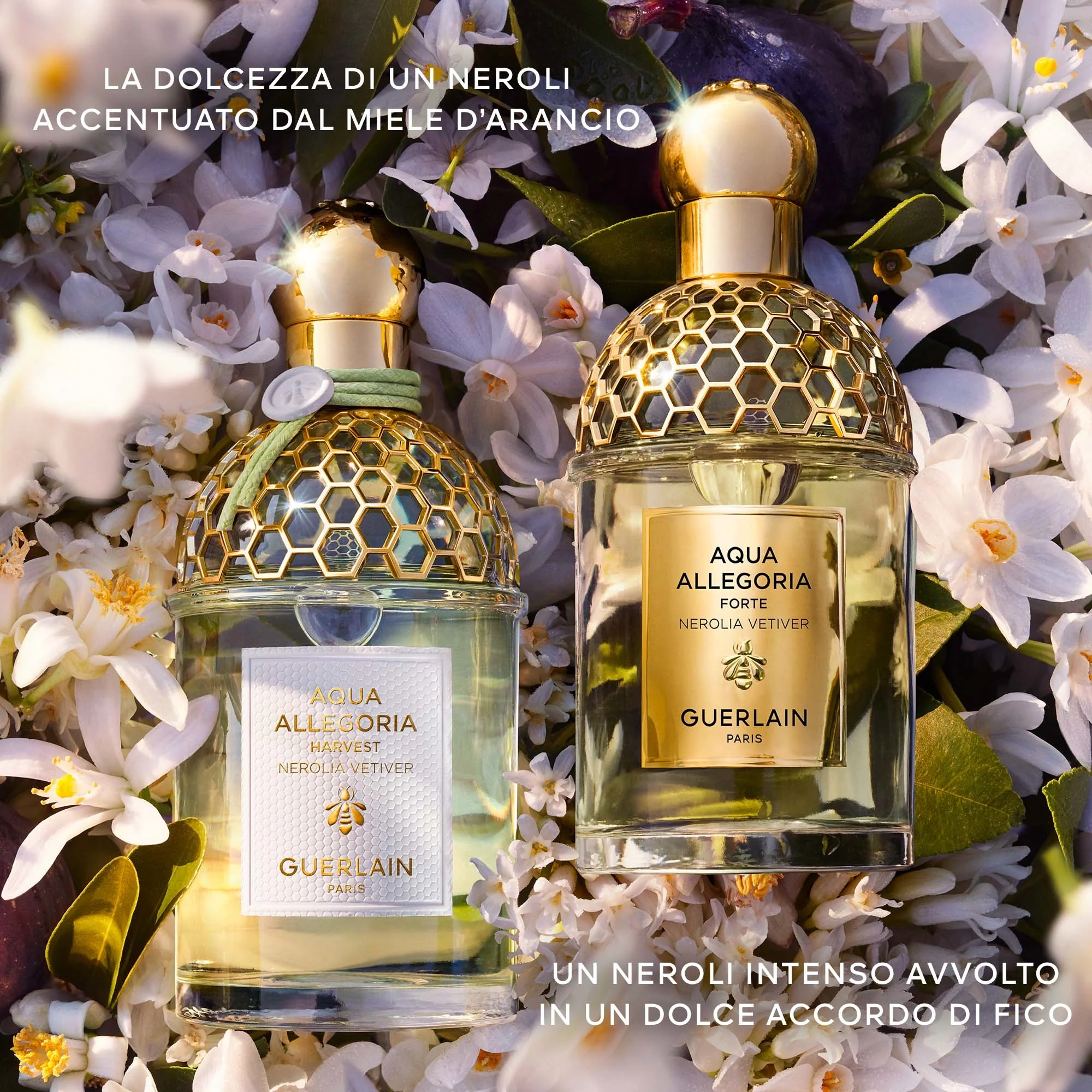 Aqua Allegoria Nerolia Vetiver Cosecha - Eau de Toilette
