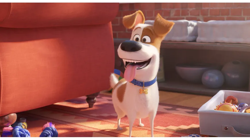 Pets 2