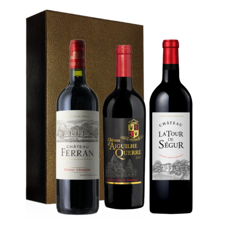 COFFRET TRIO - 90+/100 PARKER 100% BORDEAUX