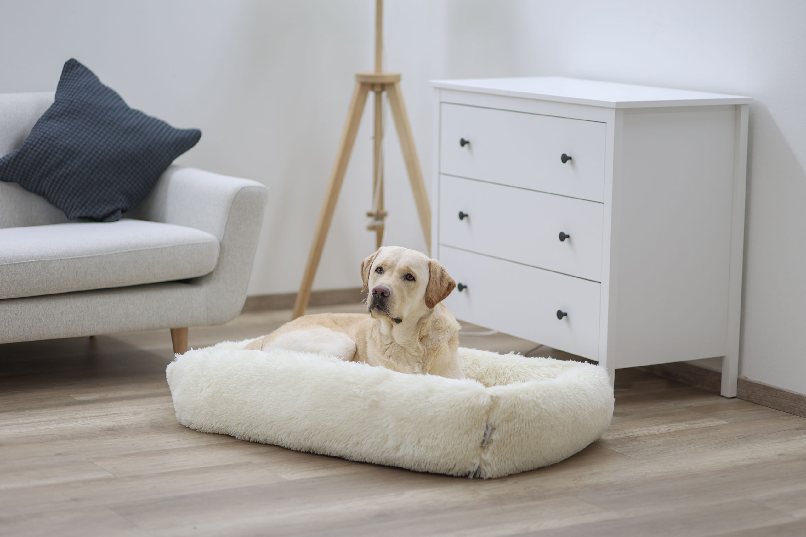 Kerbl Hundebetten Kerbl Pet Kuschelbett Fluffy, Creme, Eckig, 60x40cm