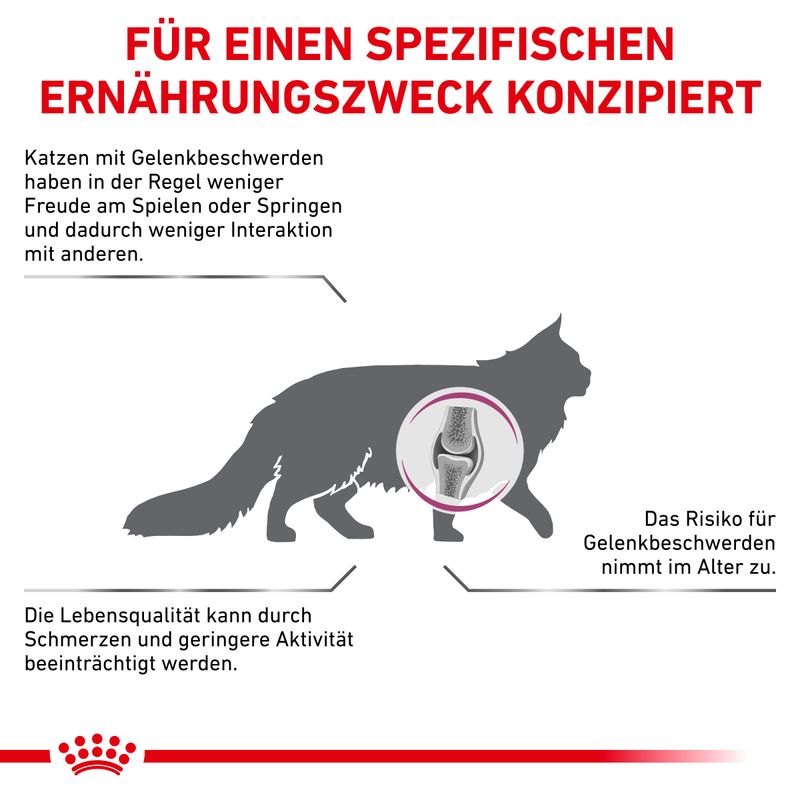 Royal Canin Veterinary Feline Mobility zu TOP-Preisen | bitiba %