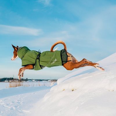 Rukka® Warmup Hundemantel, oliv