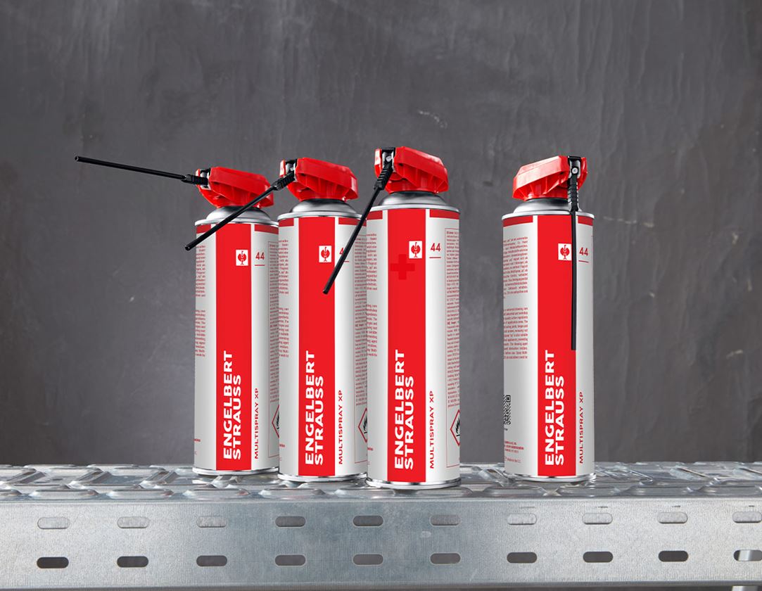 Aktion: 3 + 1 e.s. multispray xp