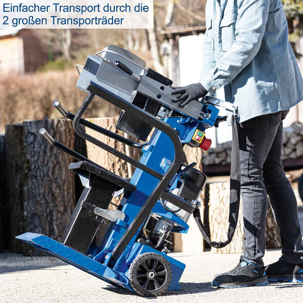 Holzspalter Compact 10