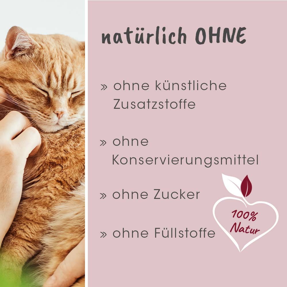 feliTATZ Fell- & Körperpflege feliTATZ FellGlanz