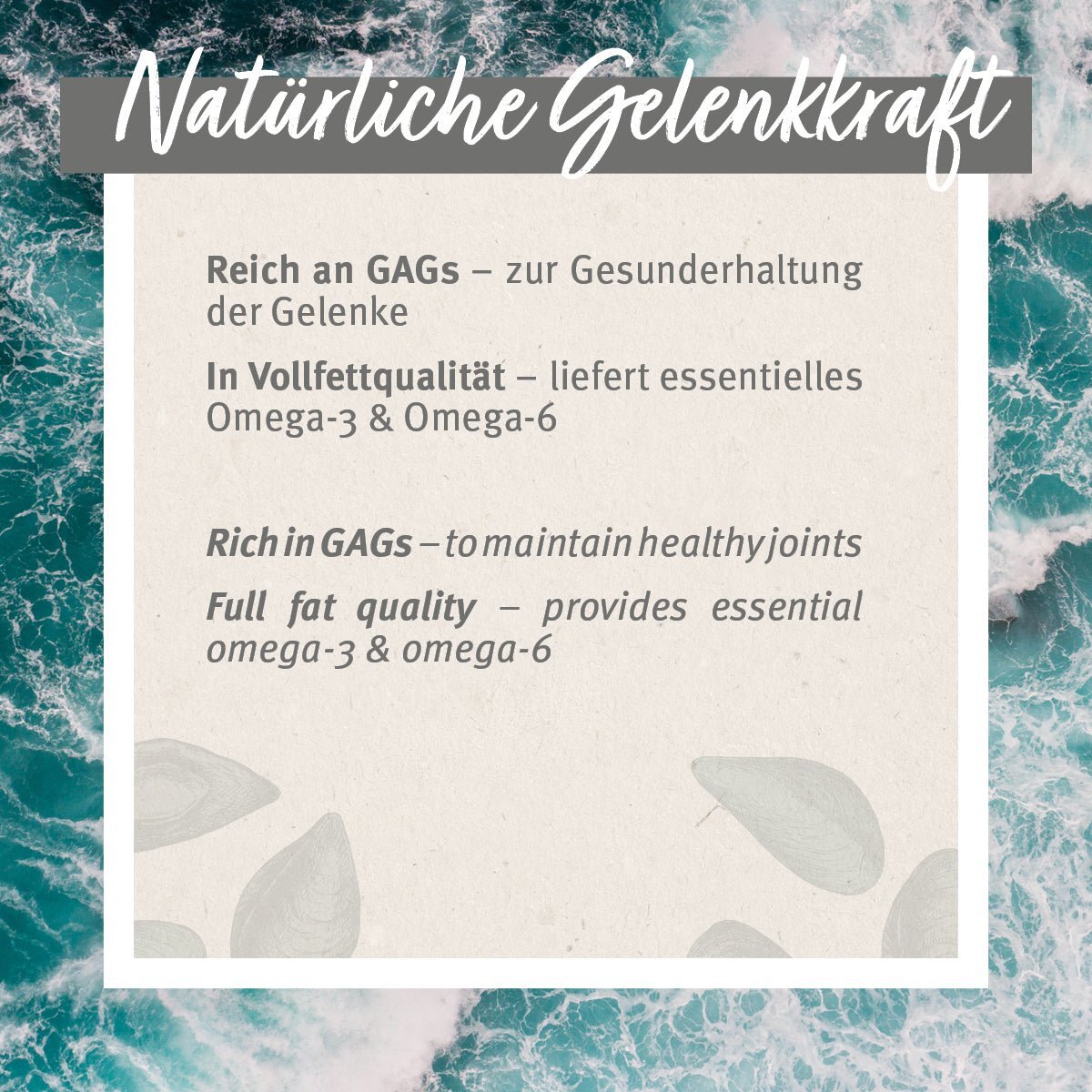 Aniforte Ergänzungsfutter & Aufzucht Aniforte Grünlippmuschel Kapseln 300 Stk