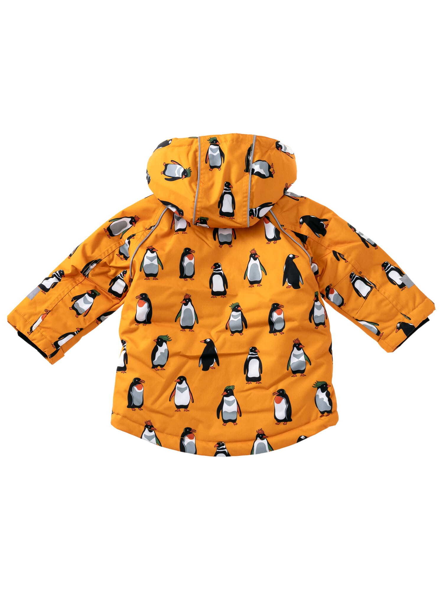 Winter Jacket
