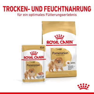 Royal Canin Pomeranian Adult Mousse
