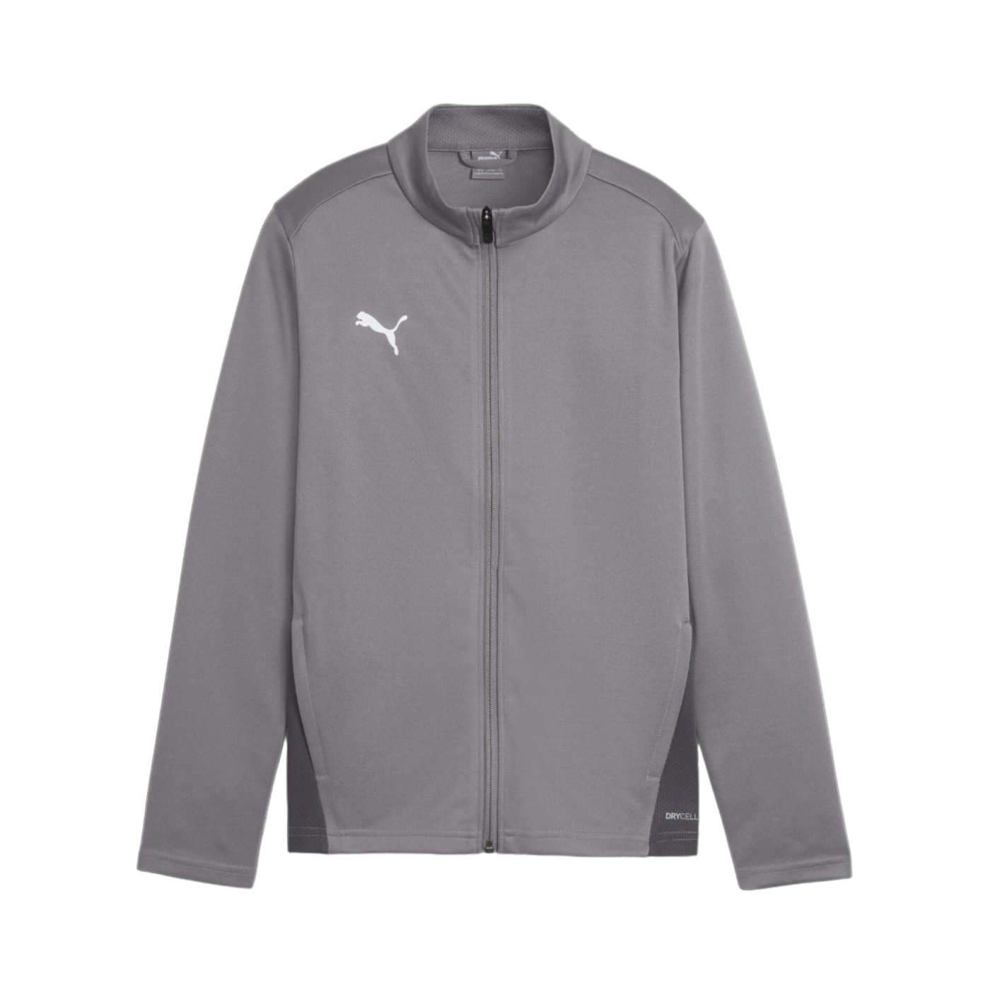 PUMA teamGOAL Trainingsjacke Kids Grau F13