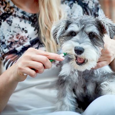 Vet's Best® Zahnpflege Set für Hunde