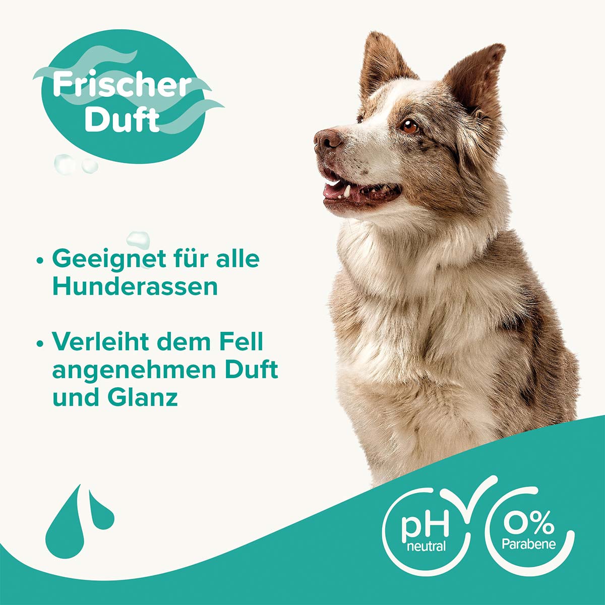 beaphar Hundeshampoo Fell-Glanz 250ml günstig kaufen bei ZooRoyal