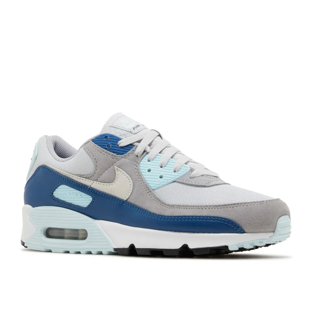 Nike Air Max 90 FN6958-001 / grau