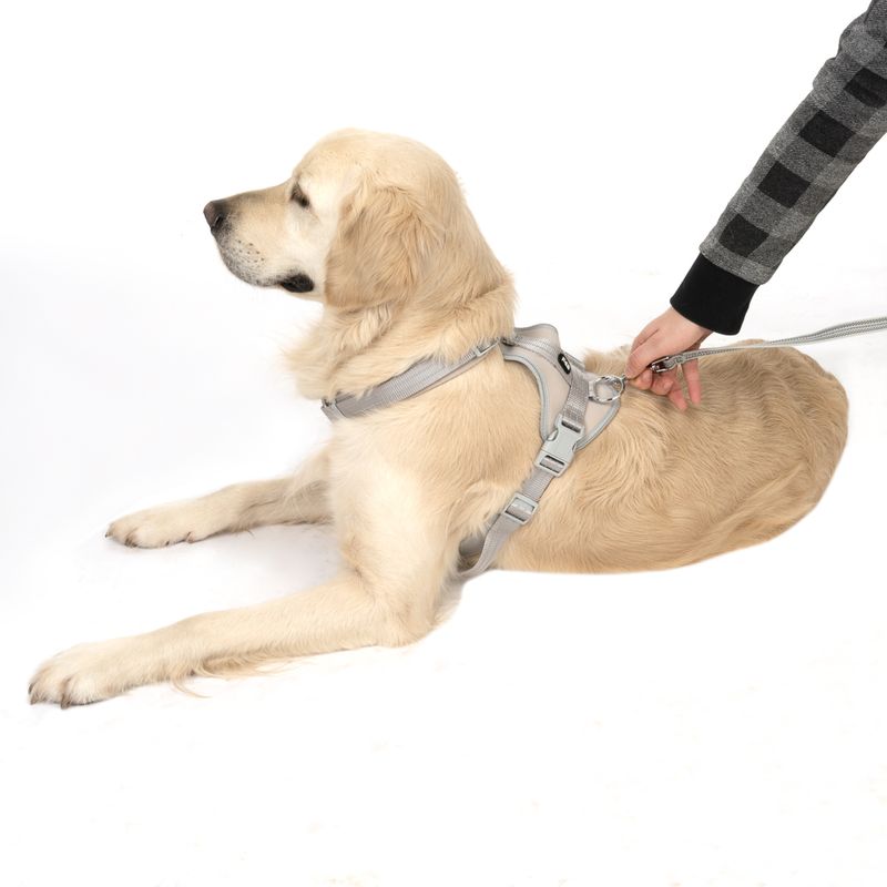 TIAKI Geschirr Neoprene, grau zu TOP-Preisen