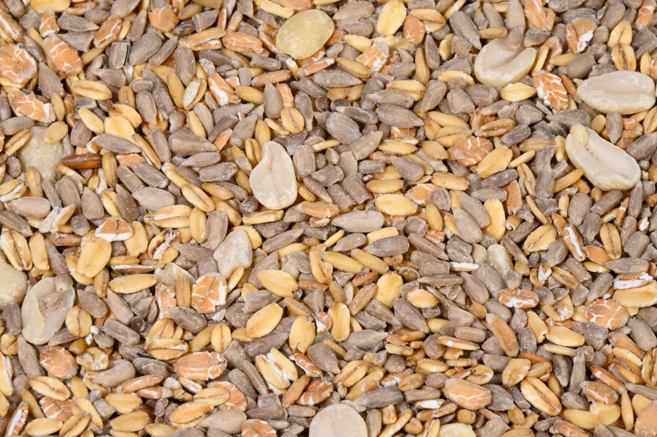 dobar Gartenvogelfutter schalenlos 7 kg