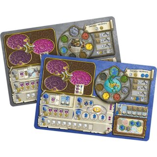 Terra Mystica (EN)