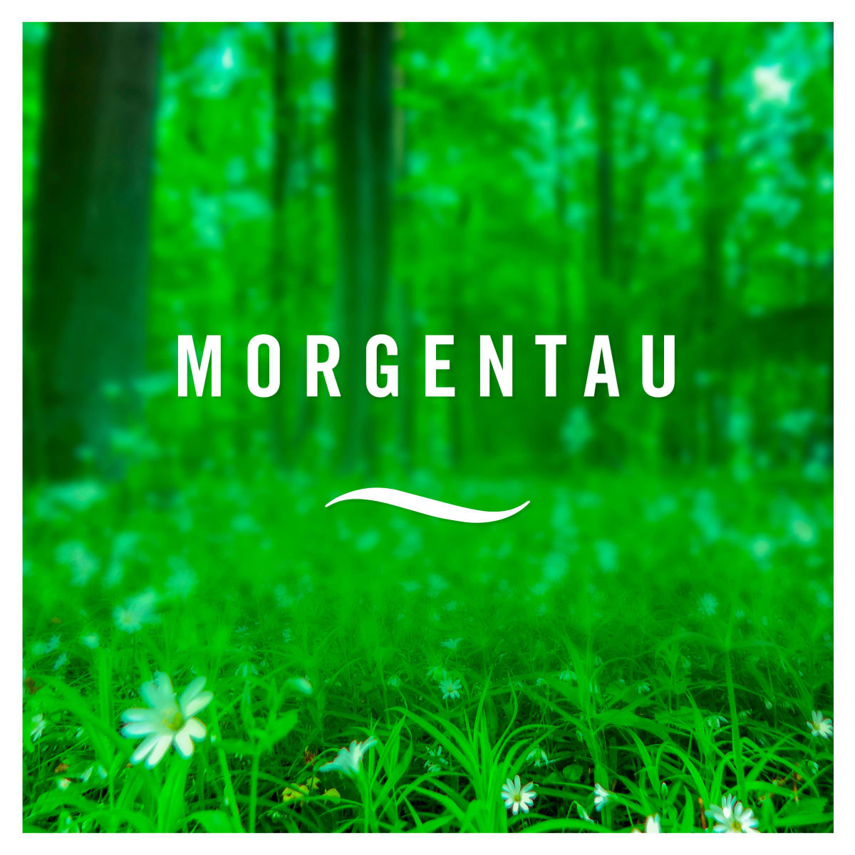 Lufterfrischer Extra Stark Morgentau, 185 ml