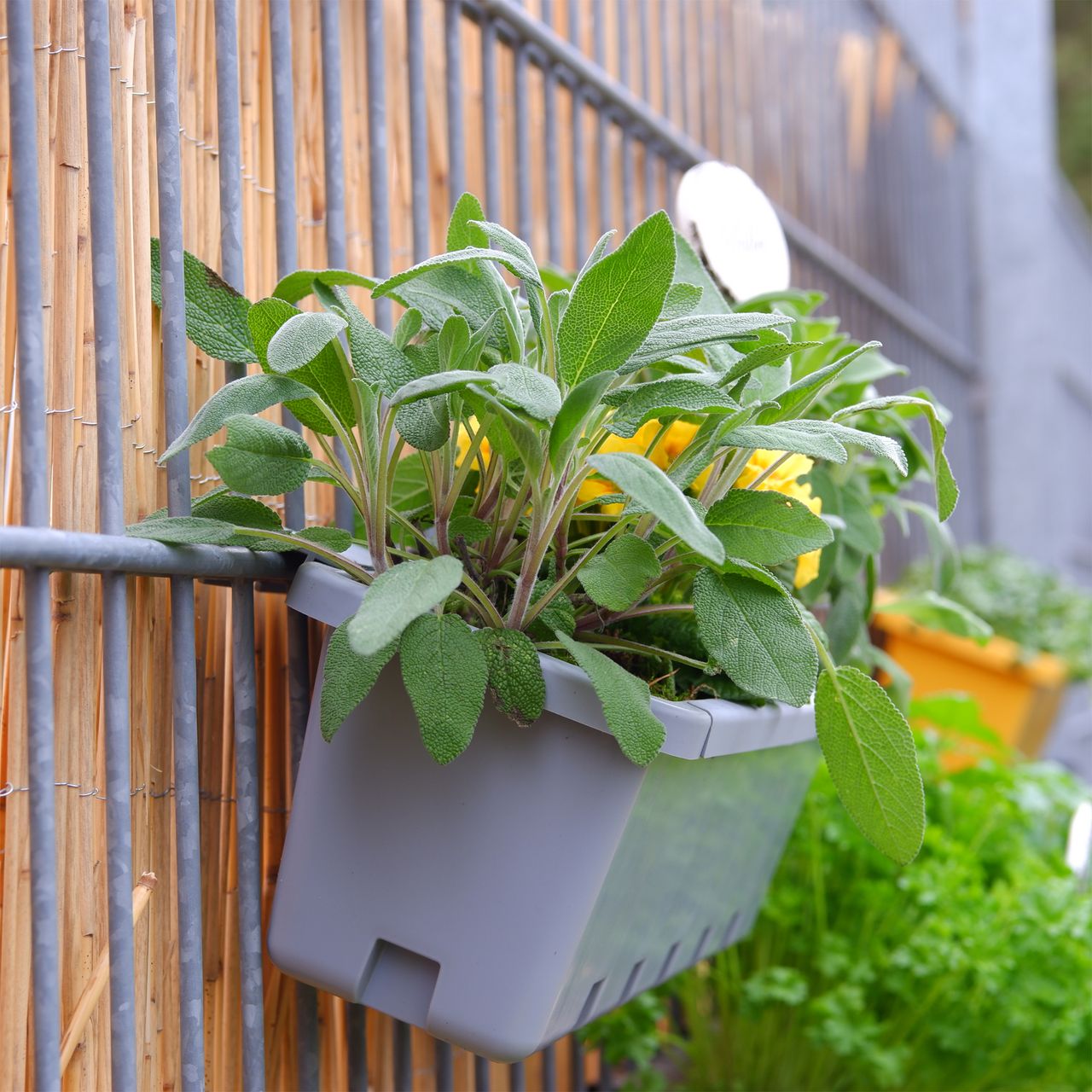 GreenLife Blumen- / Kräuterbox 5 Stück, grün, komplett