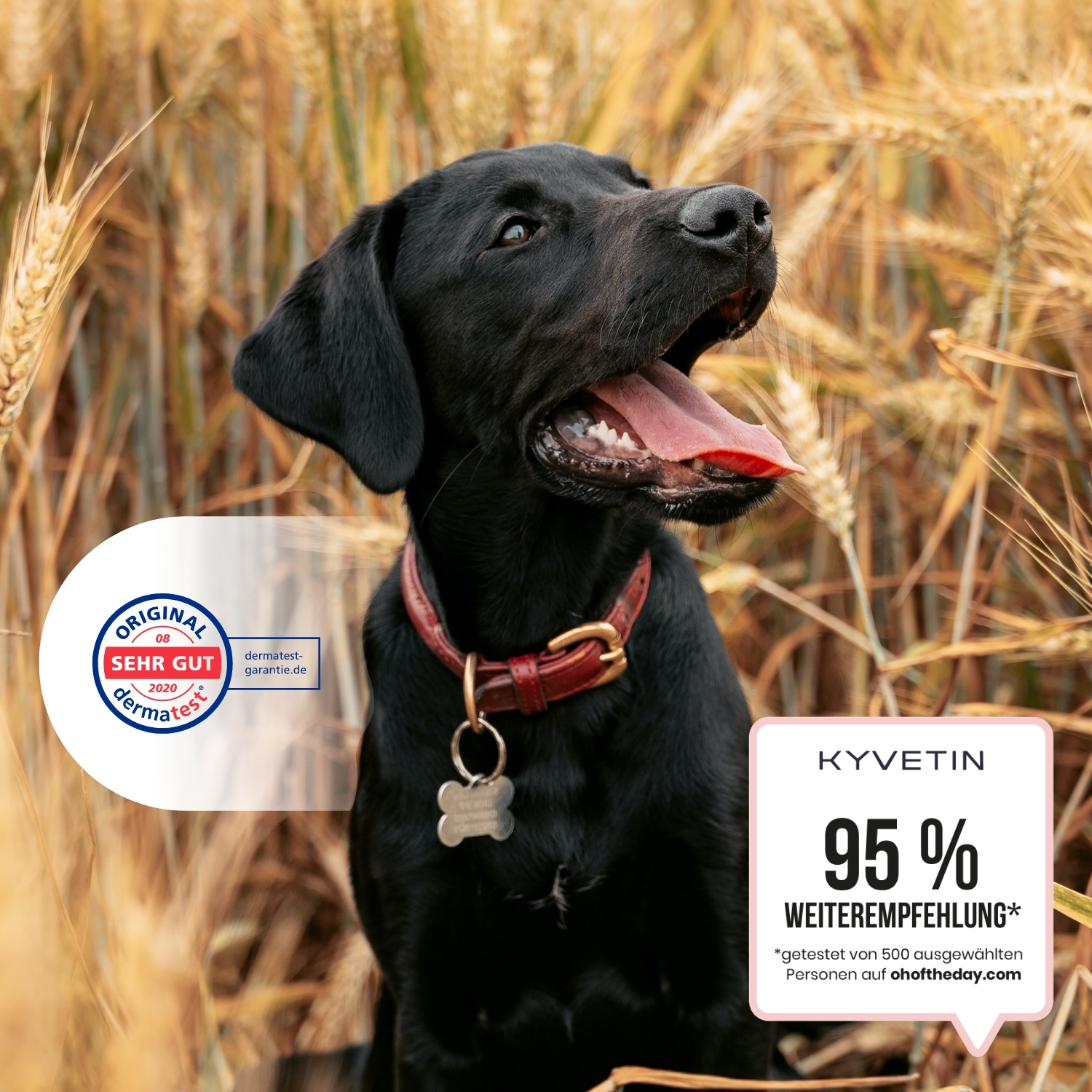 KYVETIN Fellpflege KYVETIN Gel Skin Repair für Hunde und Katzen