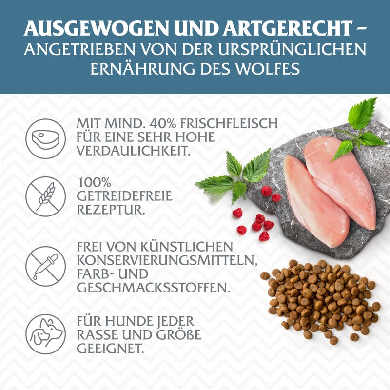 Wolf of Wilderness Adult 'Blue River' - Lachs