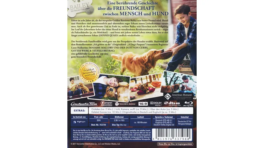 Bailey - Ein Freund fürs Leben