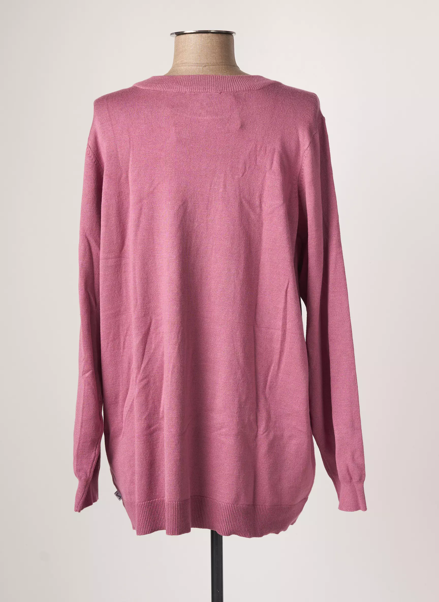 Zhenzi Pulls Femme couleur violet