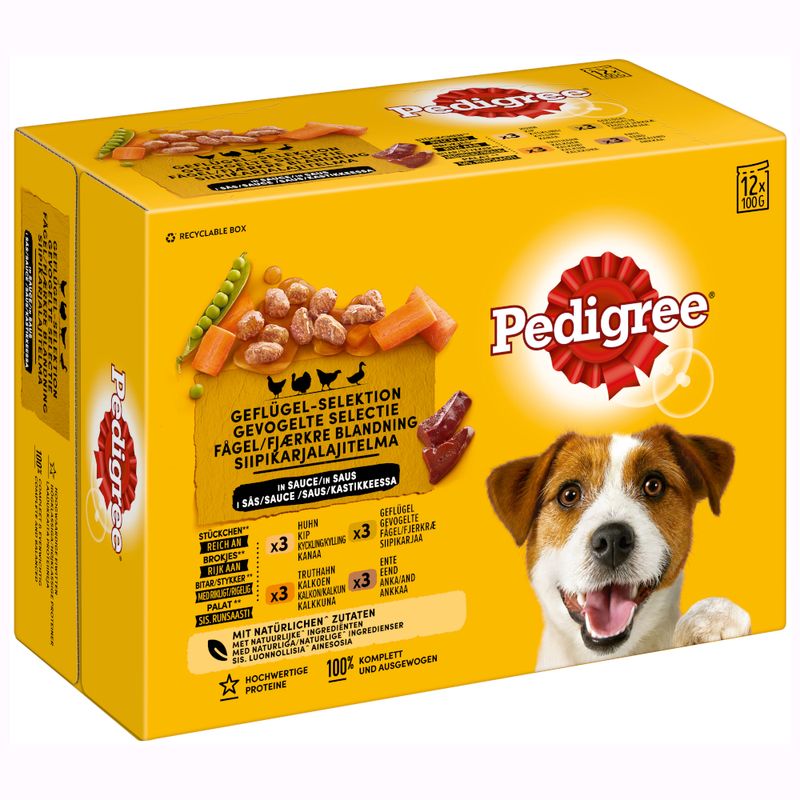Pedigree Frischebeutel in Sauce