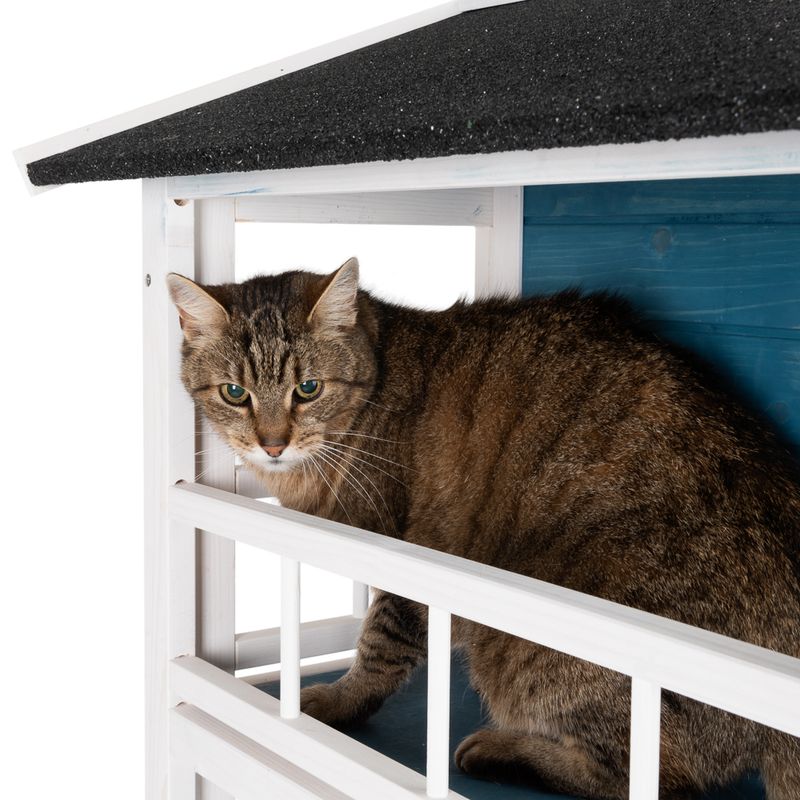 Katzenhaus Penthouse zu TOP-Preisen